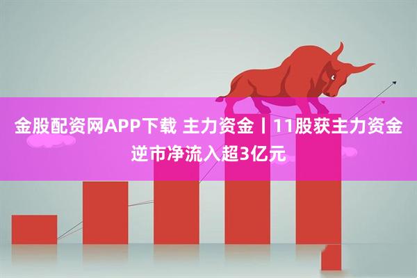 金股配资网APP下载 主力资金丨11股获主力资金逆市净流入超3亿元